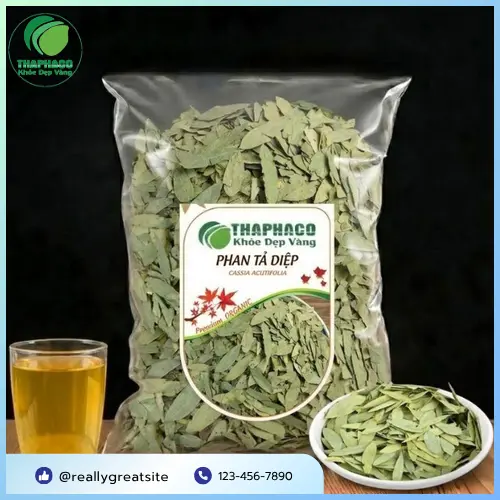 Phan Tả Diệp khô tại THAPHACO