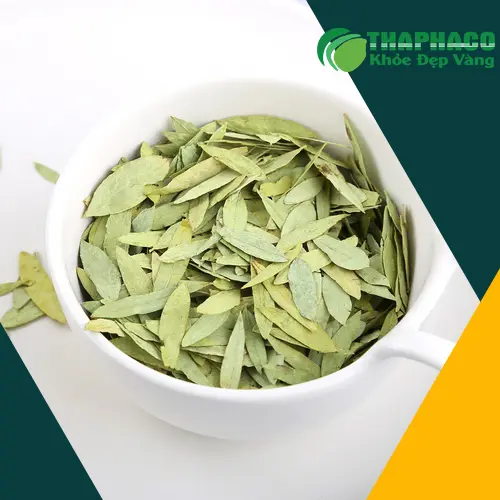 Hình ảnh lá Phan Tả Diệp khô, minh họa cho thảo dược tự nhiên