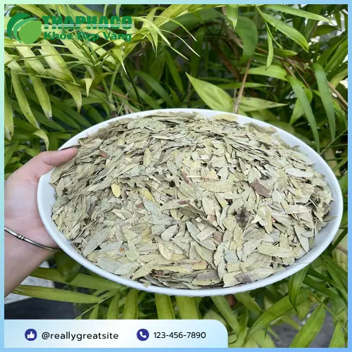 Phan Tả Diệp khô hỗ trợ tiêu hóa