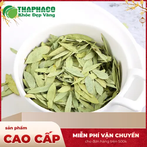 Phân biệt thuốc xổ và nhuận tràng khi tìm hiểu về Phan Tả Diệp