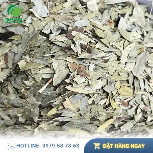 Pha trà Phan Tả Diệp hỗ trợ nhuận tràng