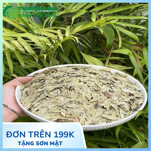 Hướng dẫn sử dụng Phan Tả Diệp sấy khô