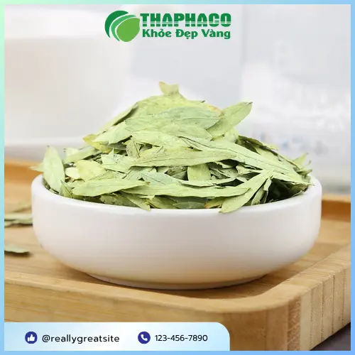 Hướng dẫn dùng Phan Tả Diệp đúng liều lượng