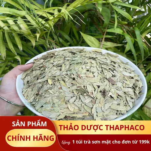 Phan Tả Diệp chất lượng tại THAPHACO