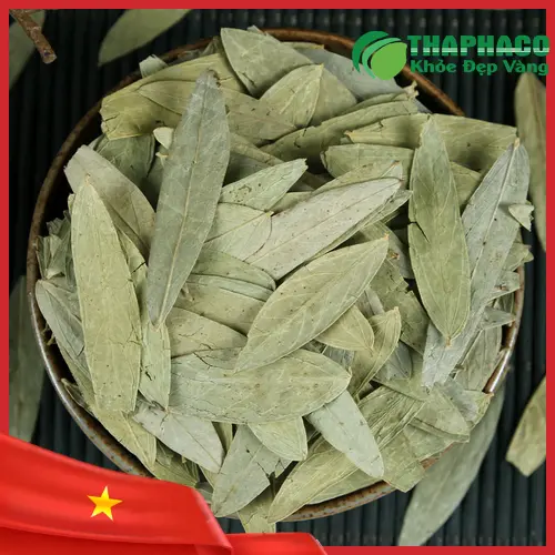 Liên hệ THAPHACO để mua Phan Tả Diệp sấy khô giá sỉ