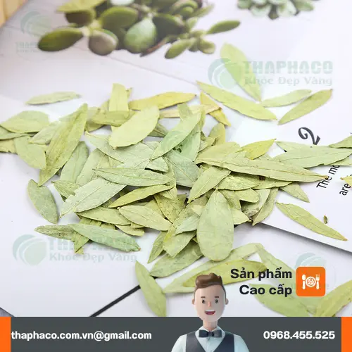 Phan Tả Diệp chất lượng cao tại THAPHACO