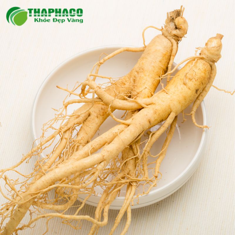 Hướng Dẫn Sử Dụng Dược Liệu Hỗ Trợ Rối Loạn Tiền Đình Từ Thaphaco Đúng Cách