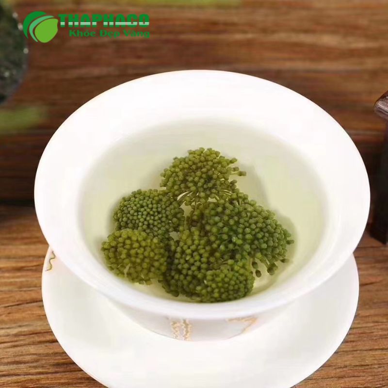 Hướng Dẫn Sử Dụng Dược Liệu Hỗ Trợ Trí Tuệ Đúng Cách