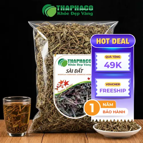 Sài đất và những công dụng hỗ trợ sức khỏe