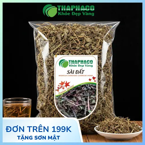 Hình ảnh cây Sài Đất tươi