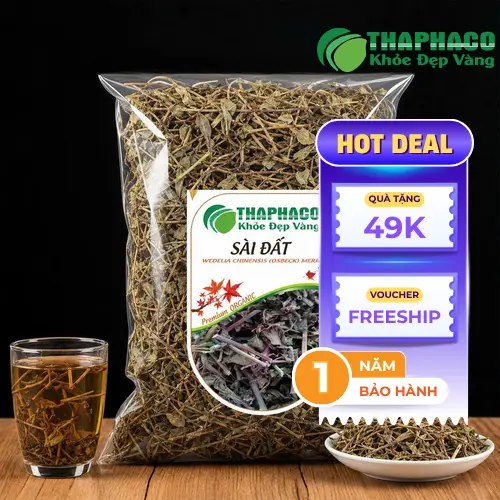 Hình ảnh cây Sài Đất khô tự nhiên và tươi
