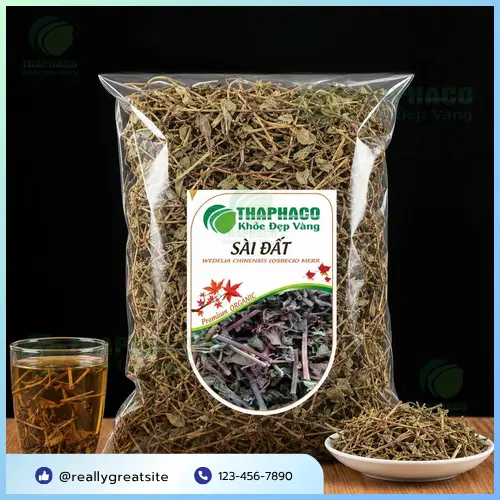 Cây sài đất tươi và lá