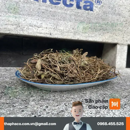 Lưu ý khi sử dụng sài đất cho các đối tượng đặc biệt