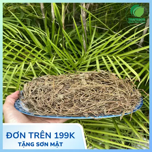 Sài Đất khô THAPHACO được đóng gói kỹ lưỡng