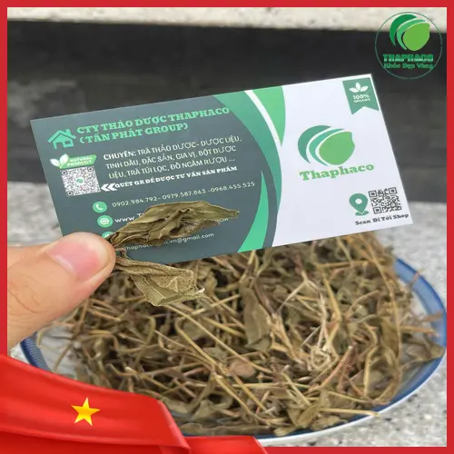 Nước sài đất hỗ trợ thanh nhiệt giải độc