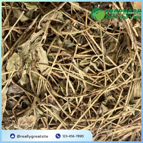 Công dụng hỗ trợ của Sài Đất khô