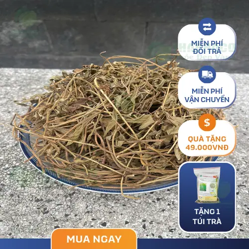 Giá Sài Đất khô THAPHACO