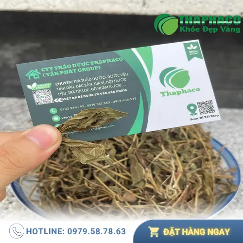 Các câu hỏi thường gặp về sài đất