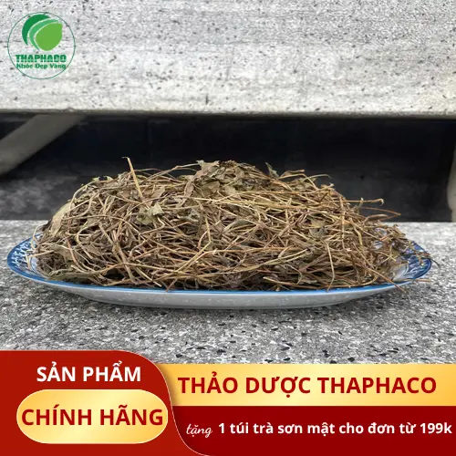 Cách dùng và bảo quản Sài Đất khô