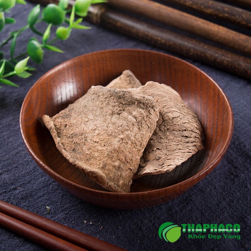 Củ bình vôi là dược liệu quý với hoạt chất rotundin, có khả năng an thần, giảm căng thẳng, lo âu