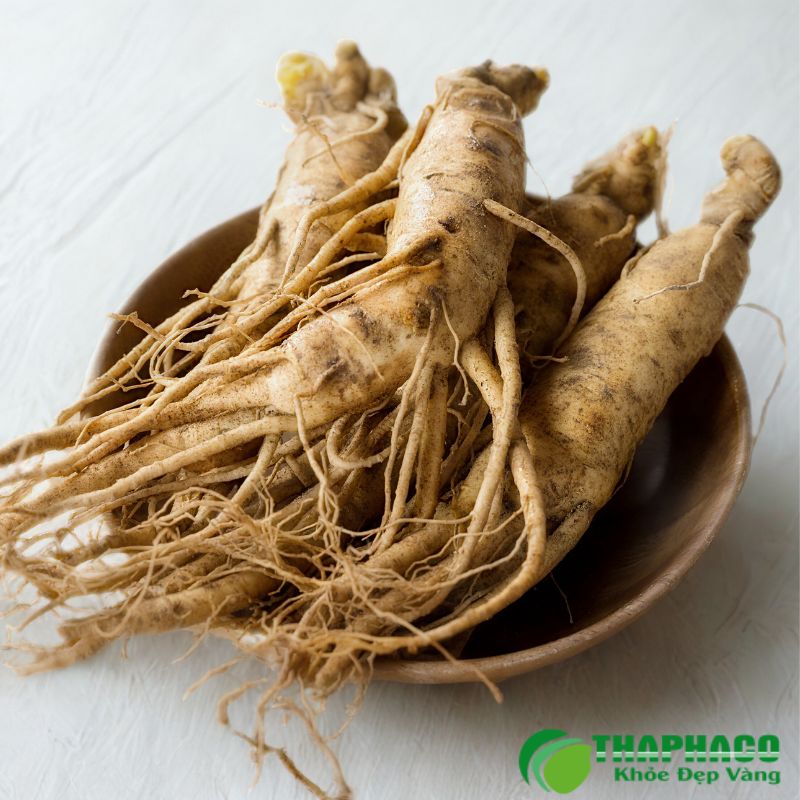 Hướng Dẫn Sử Dụng Dược Liệu Hỗ Trợ Sau Tai Biến Đúng Cách và An Toàn