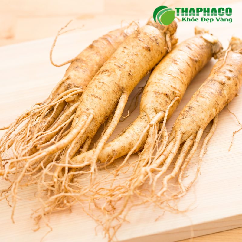 Giải pháp hiệu quả từ Dược liệu Sạch, Nguyên chất của Thaphaco