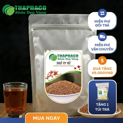 Thỏ Ty Tử là một thảo dược quý trong Y học cổ truyền, thường được biết đến với tên gọi hạt tơ hồng.