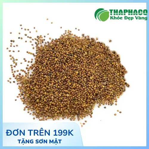 Cách dùng Thỏ Ty Tử an toàn