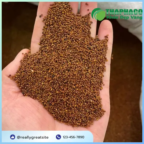 Thỏ Ty Tử và các dược liệu khác trong bài thuốc