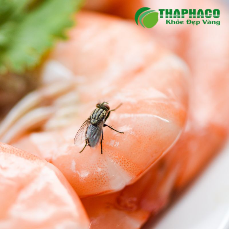 Nguyên nhân chính gây tiêu chảy cấp thường là nhiễm trùng từ thực phẩm hoặc nước uống bị ô nhiễm