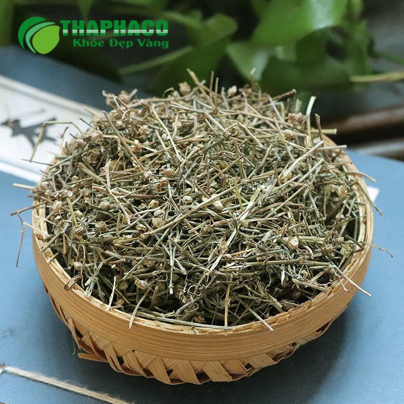 Dược liệu Thaphaco hỗ trợ tăng cường sức khỏe tổng thể và phòng ngừa bệnh tật