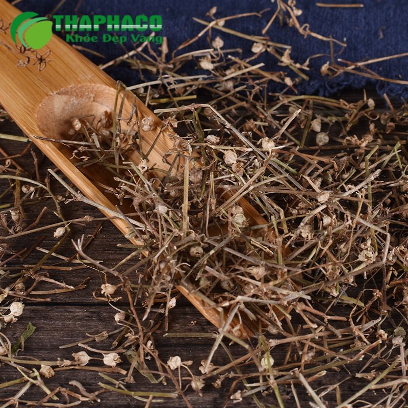 Thaphaco tự hào là nhà cung cấp dược liệu "Sạch, Nguyên chất" đạt chuẩn GACP-WHO