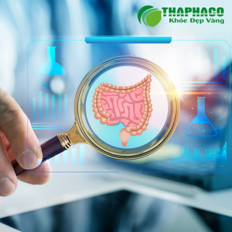 Viêm đại tràng được phân loại thành cấp tính, mãn tính, viêm loét và hội chứng ruột kích thích