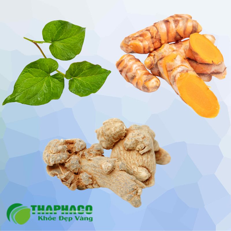Dược Liệu Thaphaco Sạch, Nguyên Chất Hỗ Trợ Điều Trị Viêm Loét Đại Trực Tràng