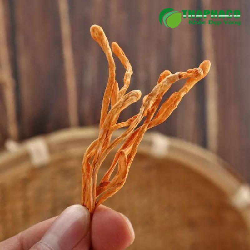 Tăng Cường Sức Đề Kháng, Hỗ Trợ Phòng Ngừa Bệnh Tật Với Dược Liệu Sạch Thaphaco