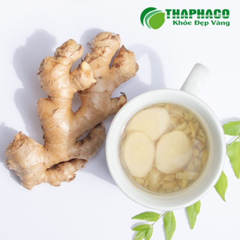 Gừng Tươi là dược liệu tự nhiên hiệu quả trong việc giảm buồn nôn, chống co thắt