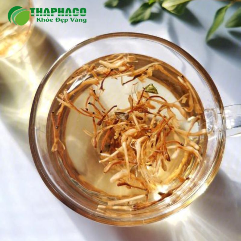 Dược liệu tự nhiên hỗ trợ Buerger bằng cách cải thiện tuần hoàn, giảm viêm, giảm đau
