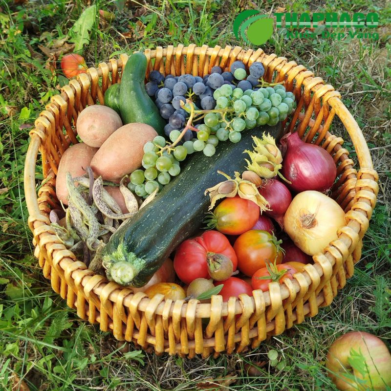 Phòng ngừa viêm túi thừa chủ yếu qua chế độ ăn giàu chất xơ, uống đủ nước và lối sống lành mạnh