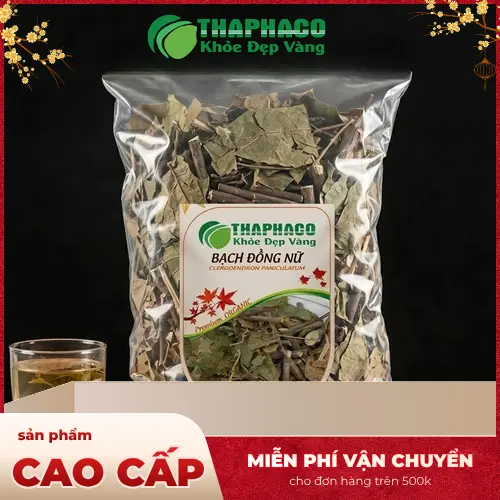 Đặc điểm lá cây Bạch Đồng Nữ