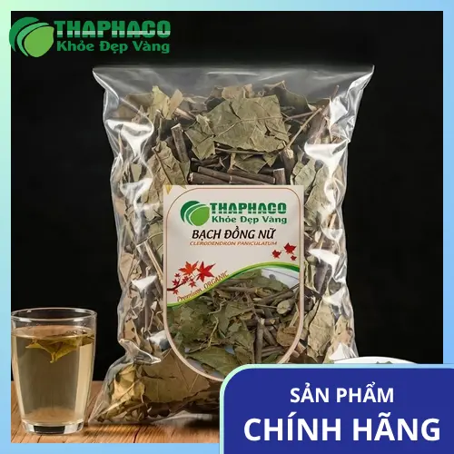 Hình ảnh cây Bạch Đồng Nữ tổng quan