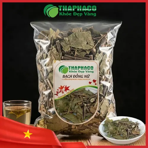 Cây Bạch Đồng Nữ tươi tự nhiên
