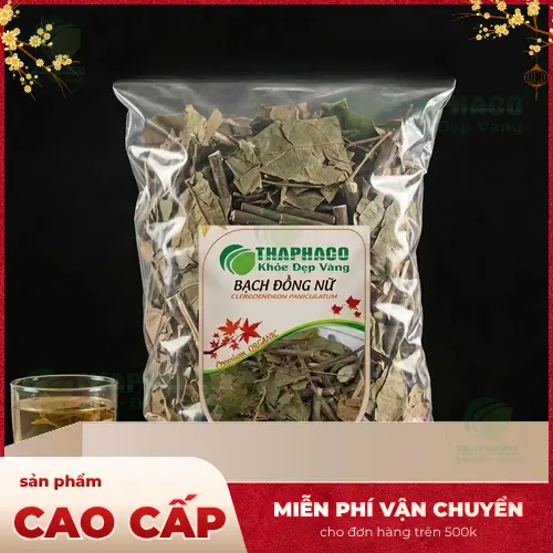 Hình ảnh cây bạch đồng nữ khô