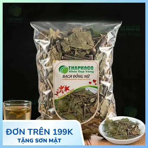 Bạch Đồng Nữ sấy khô chất lượng tại THAPHACO