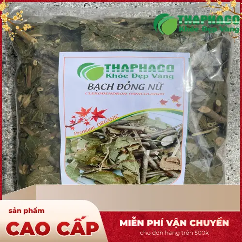 Các công dụng truyền thống của Bạch Đồng Nữ