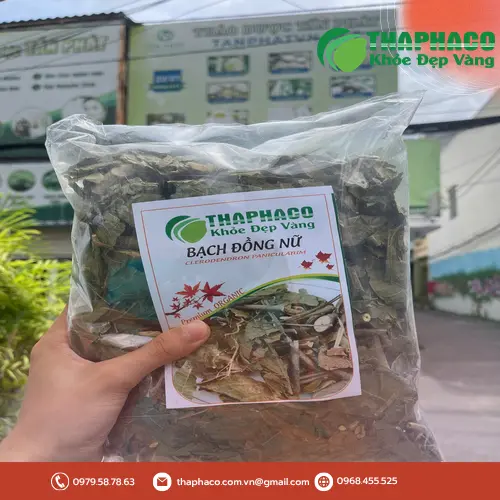 Lá bạch đồng nữ và các thành phần thường dùng