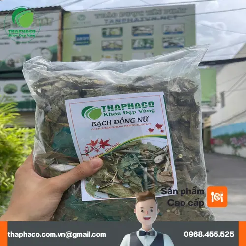 Đặc điểm nhận biết Bạch Đồng Nữ sấy khô chất lượng