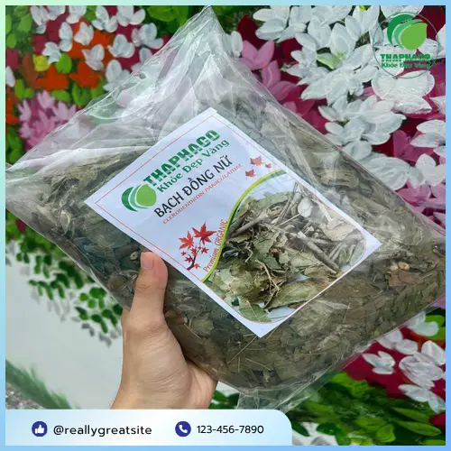 Bạch Đồng Nữ được cung cấp tại THAPHACO