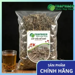 Địa Chỉ Bán Cây Xấu Hổ Khô Tại TP.HCM - Nơi Mua Uy Tín, Giá Tốt