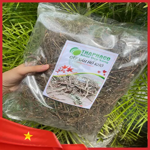 Giá cây xấu hổ khô tại THAPHACO