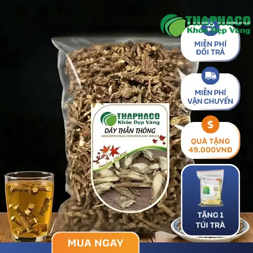 Dây Thần Thông và đặc điểm nhận biết